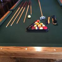 Hippopotamus Pool Table